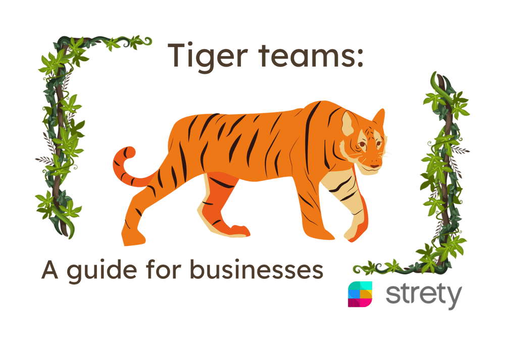 image representing Tiger Teams: A guide for businesses